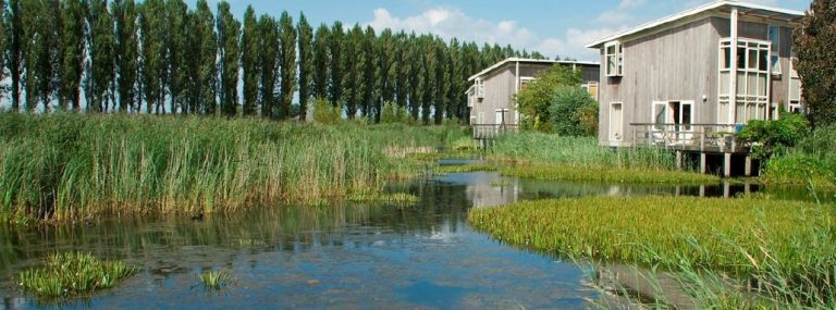 waterlandwater
