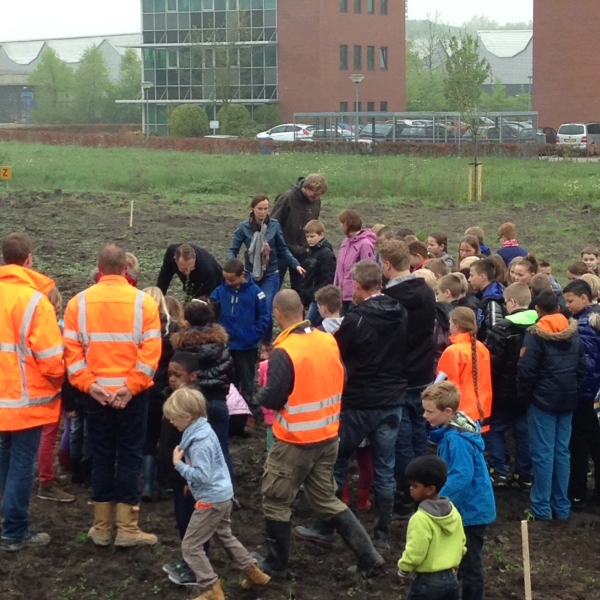 bomenplanten ringweg