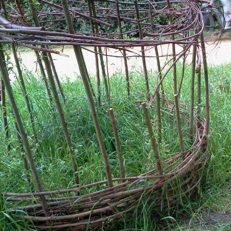 wilgenhutje