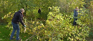 P1070718 crop
