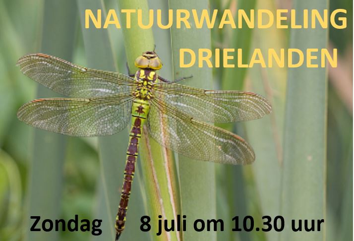 Foto NatuurwandelingDrielanden