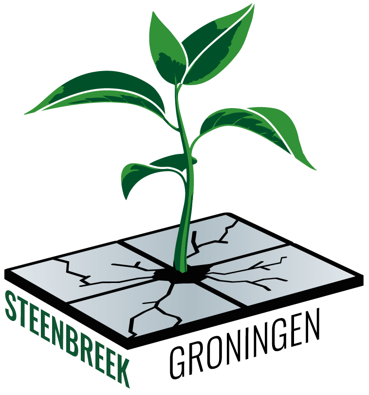 steenbreek groningen