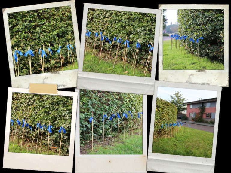 collageblauw2klein