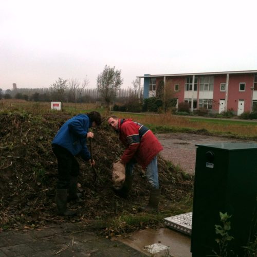 Septic terp Waterland beplant