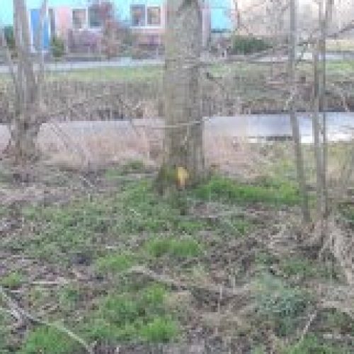 Groenonderhoud aan het Drielandenpad
